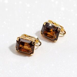 VTG Sophisticated Brown and Gold Screw Back Earrings with Classic Design